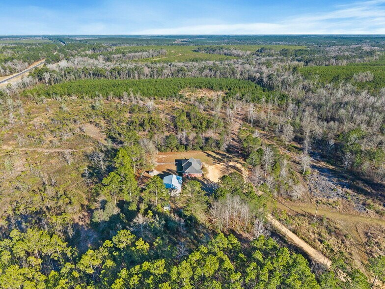 More Photos Of 55750 Lottie Rd, Perdido Land For Sale