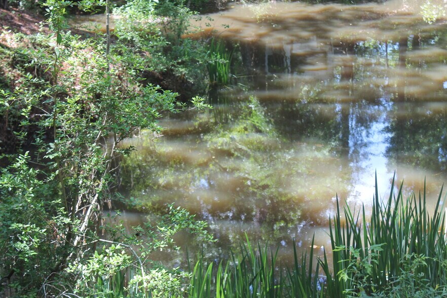 More Photos Of 248 WOODSY Holw, Goodrich Land For Sale