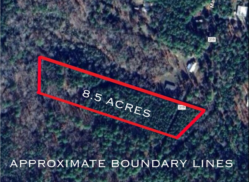 More Photos Of 8.5 ACRES +/- TBD CR 319, Broaddus Land For Sale