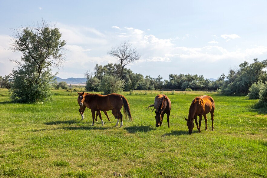 More Photos Of 210 Sybille Creek Rd, Wheatland Horse Stables For Sale