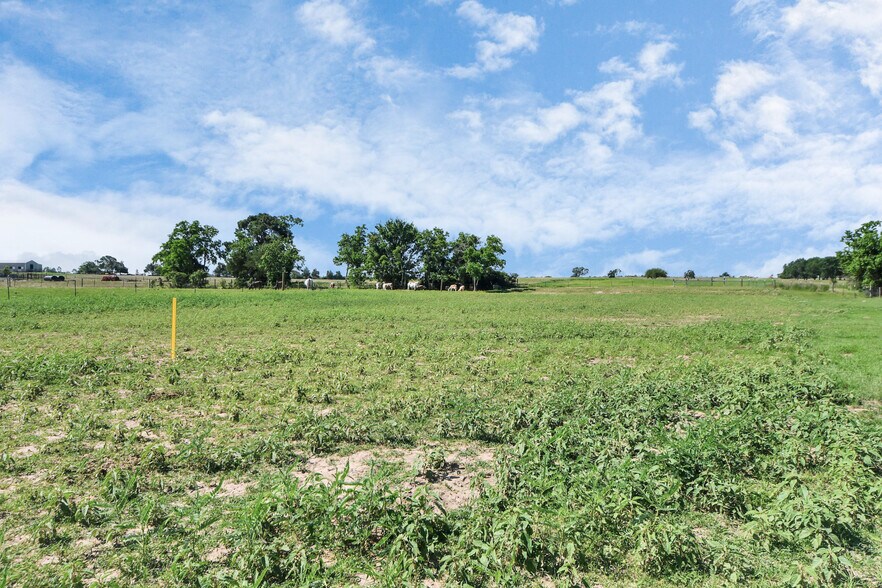 More Photos Of 17725 Cochran Rd, Hempstead Land For Sale