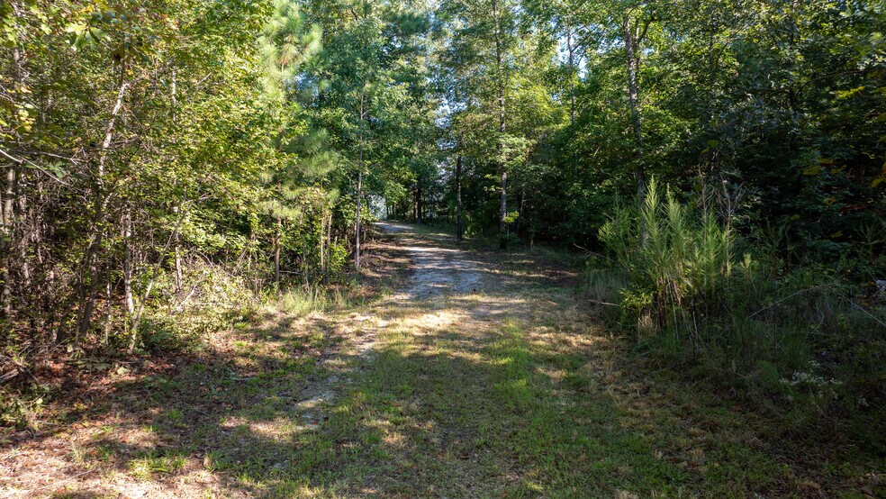 More Photos Of 1901 Grey Land rd, Greensboro Land For Sale