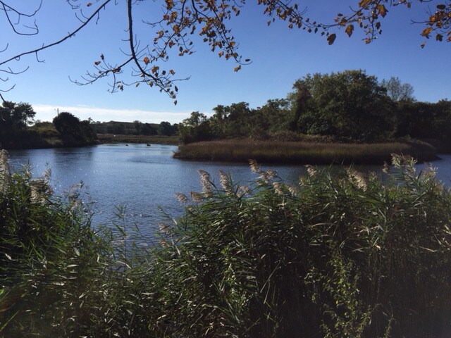 More Photos Of 540 Ella T Grasso Blvd, New Haven Research And Development For Lease