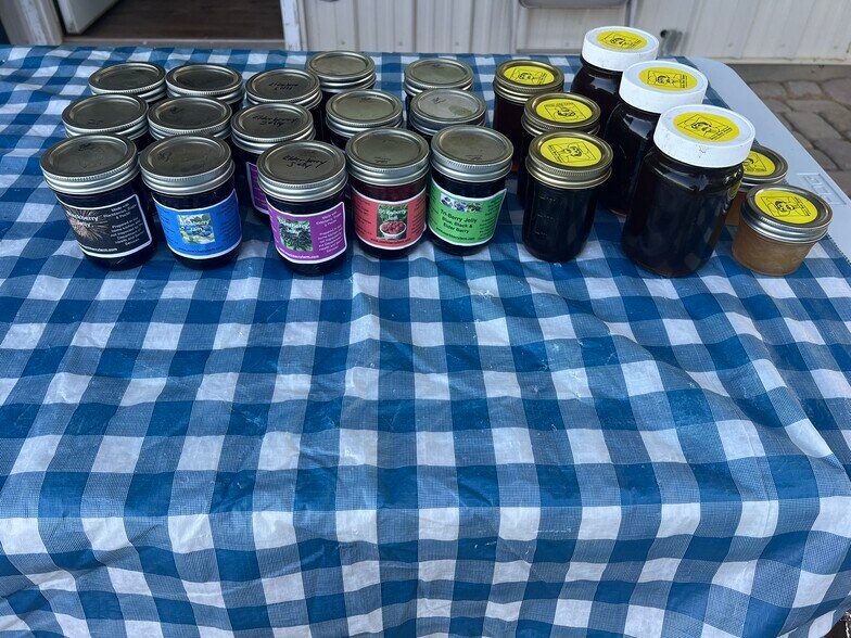 More Photos Of 552 Lick Creek Rd, Leasburg Land For Sale