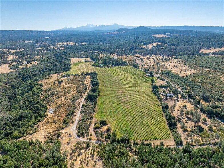 More Photos Of 31630 Forwards Rd, Manton Land For Sale