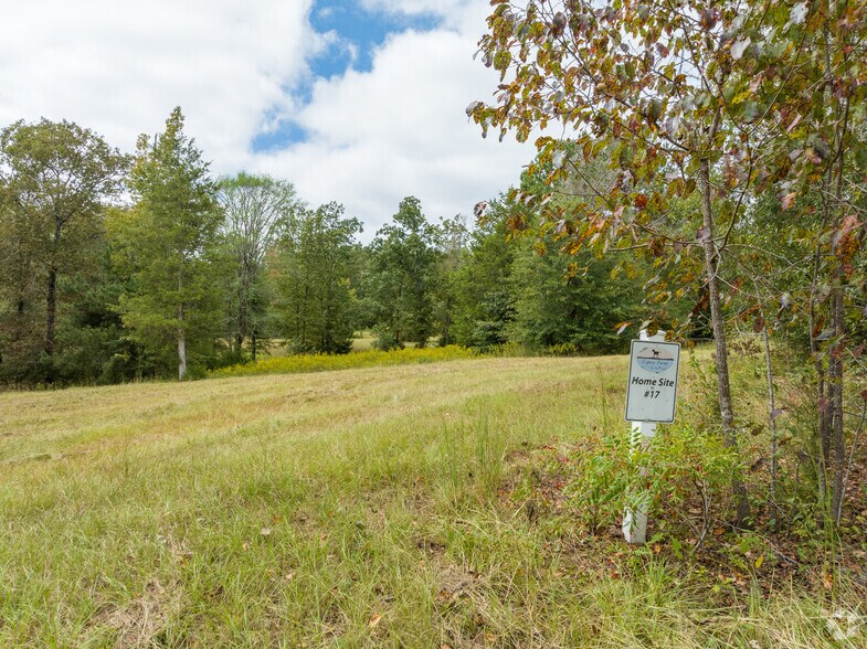 More Photos Of 173 Mill Creek Ln, McCormick Land For Sale