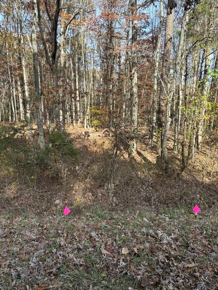 More Photos Of 3207 Broad st, Gum Spring Land For Sale