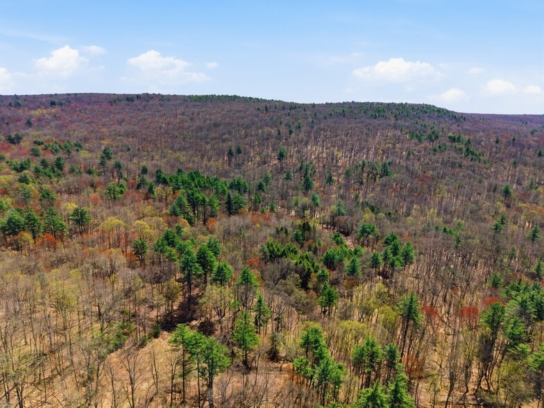 Primary Photo Of 0 Dry Hill Road, Montague Land For Sale