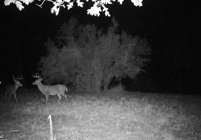 More Photos Of 0 Lower Mudlic rd, Mayport Land For Sale