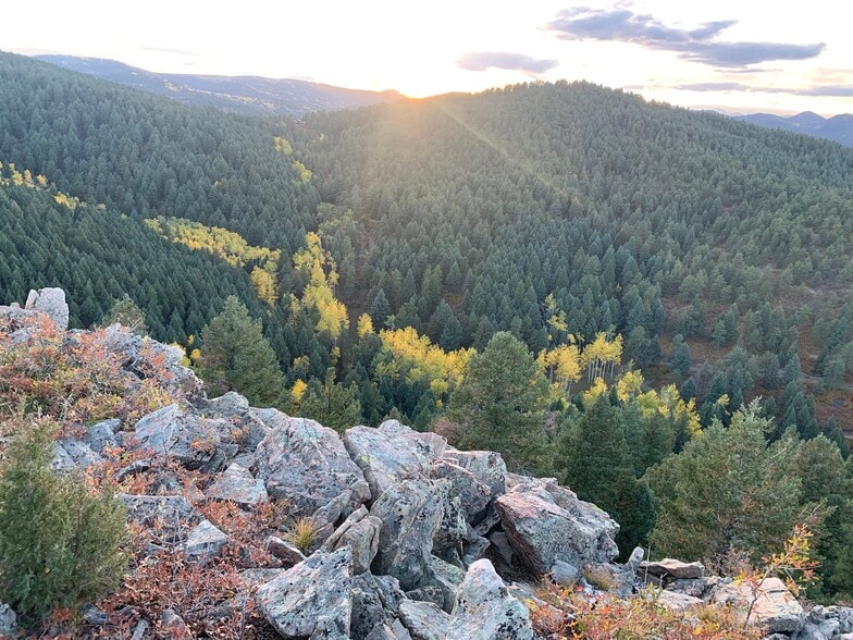 More Photos Of 11696 Trappers Mountain Trl, Littleton Land For Sale