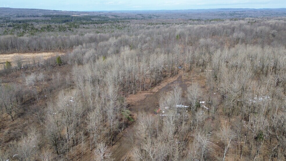 More Photos Of 1601 NY-29, Little Falls Land For Sale