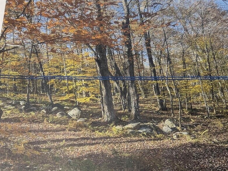 More Photos Of 1928 VT-131, Springfield Land For Sale