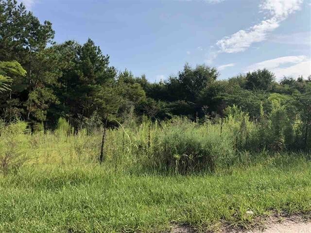 More Photos Of 614 N Main St, Atmore Land For Sale
