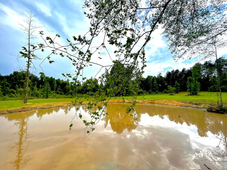 More Photos Of 92 Lillian Strong rd, Carlton Land For Sale