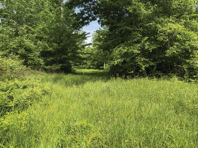 More Photos Of 2475 W County Road 1050 S, Cloverdale Land For Sale