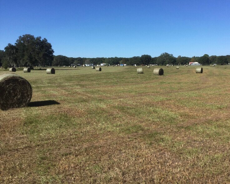 More Photos Of 0 Greenbriar Rd, Lakeland Land For Sale