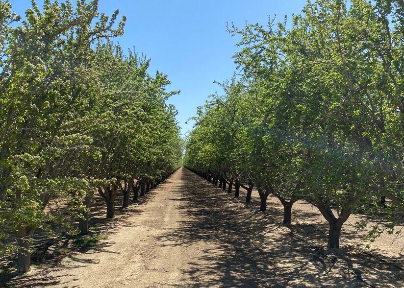 More Photos Of Oakland @ Lassen Avenue, Five Points Land For Sale
