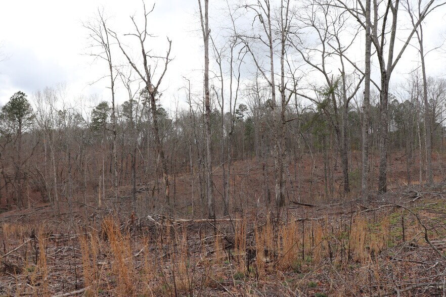 More Photos Of Knox Bridge Hwy @ Knox Bridge & Ficklen Church Hwy, Canton Land For Sale