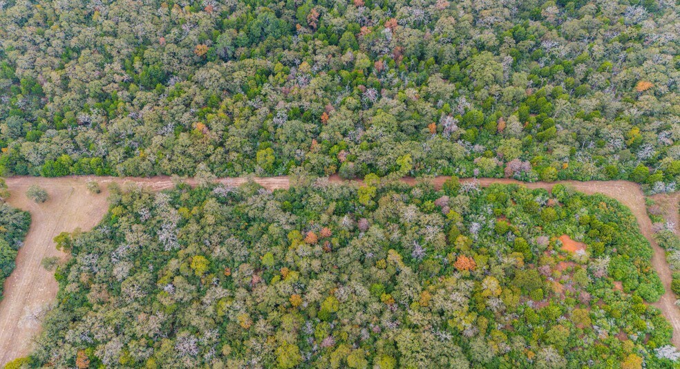 More Photos Of TBD County #415 rd, Lexington Land For Sale