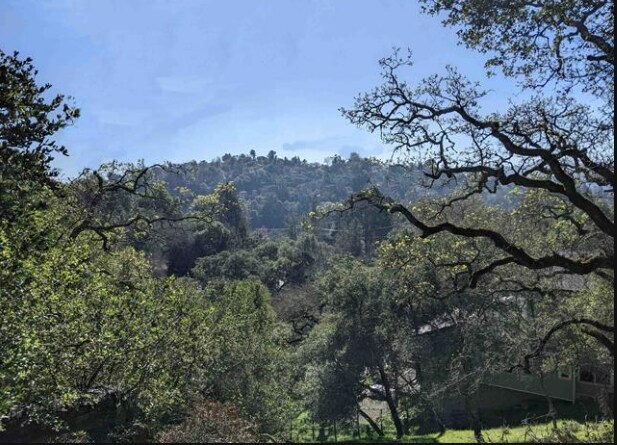 Primary Photo Of 2 Charles Hill Rd, Orinda Land For Sale
