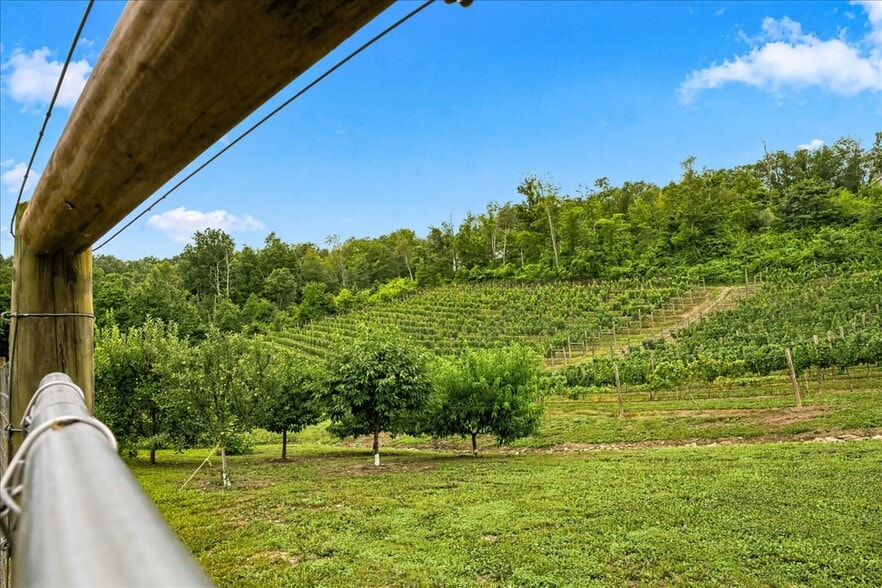 More Photos Of 1309 Redland Rd, Cross Junction Winery Vineyard For Sale