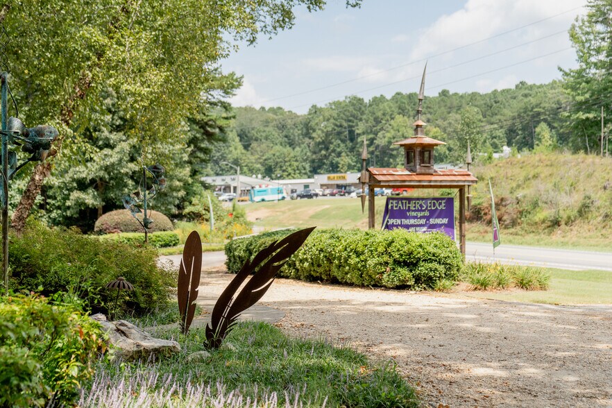 More Photos Of 9975 Ball Ground Hwy, Ball Ground General Retail For Sale