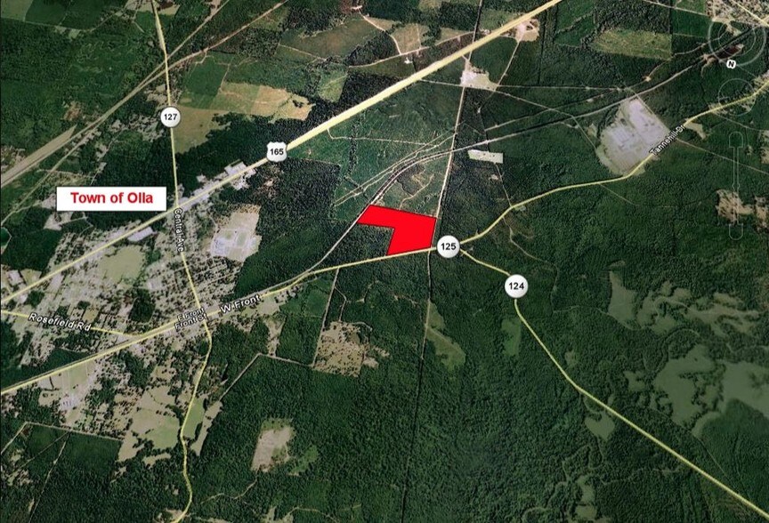 More Photos Of Hwy 125, Olla Land For Lease