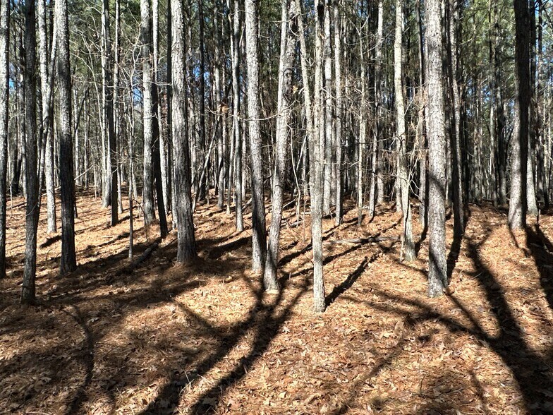 More Photos Of 3472 Prior Station Rd, Cedartown Land For Sale
