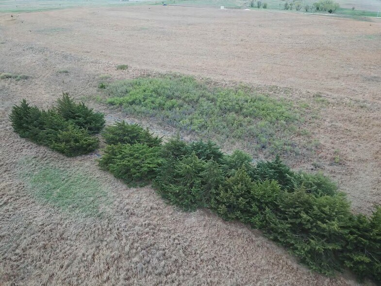 More Photos Of , Damar Land For Sale