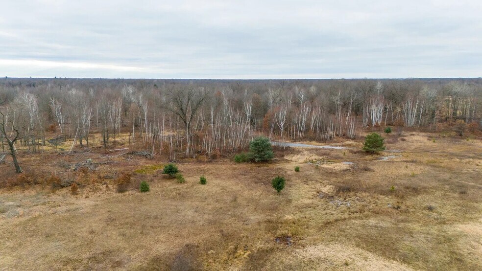 More Photos Of 2717 N 11 Mile Rd, Sanford Land For Sale