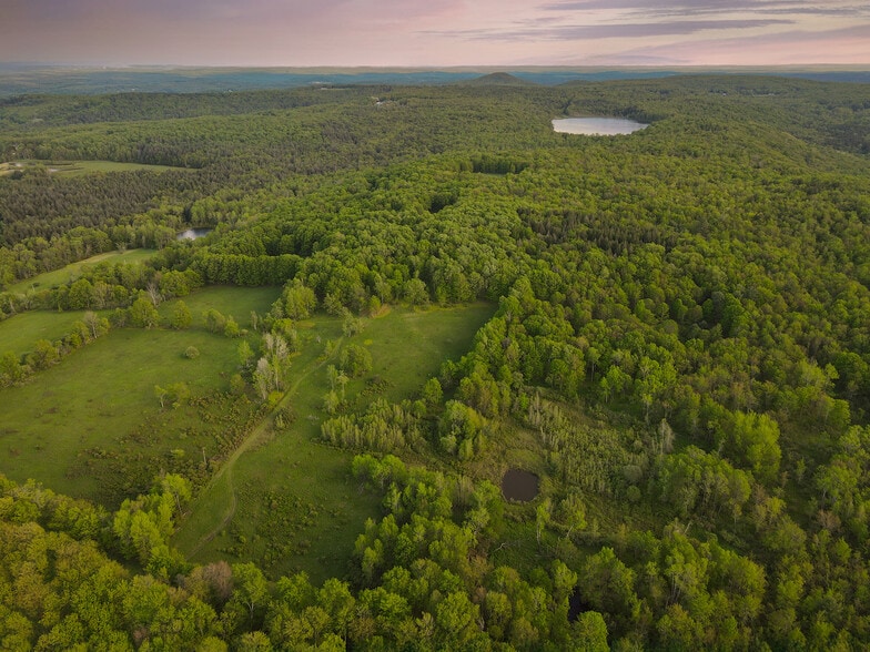 More Photos Of 1 Snow Hill Rd, Parksville Land For Sale