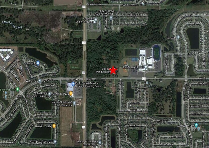 Primary Photo Of 10602 County Road 672, Riverview Land For Sale