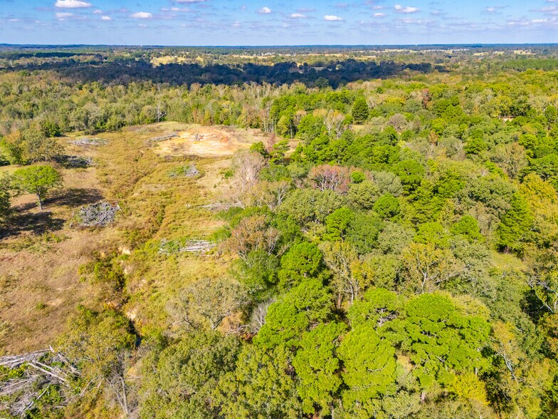 More Photos Of 391 Farm to Market 1519, Scroggins Land For Sale