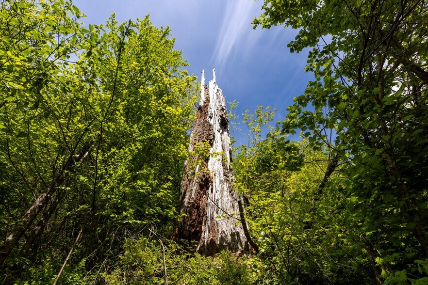 More Photos Of 0 Snag Mountain Road, Washougal Land For Sale