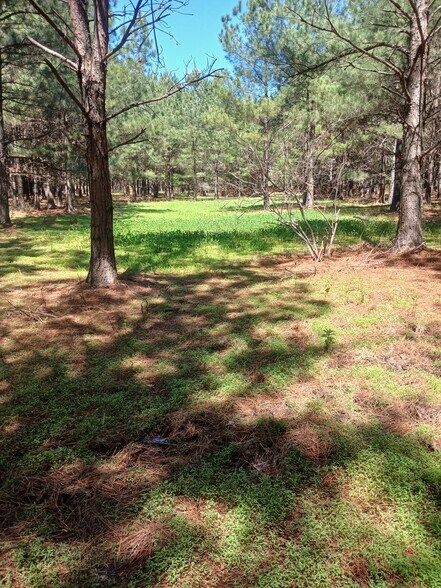 More Photos Of 414000 E 1920 Rd, Antlers Land For Sale