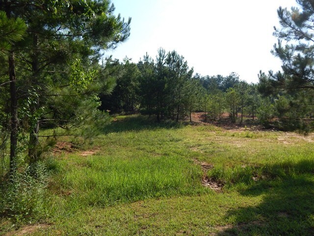 More Photos Of 120 Bruce Rd, Martin Land For Sale