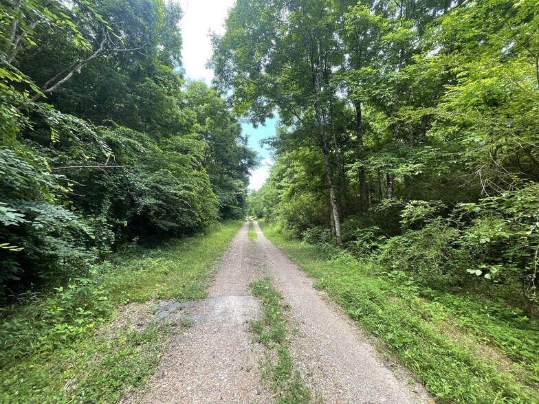 More Photos Of Coon Creek Road Rd @ Hull Road, Sipsey Land For Sale