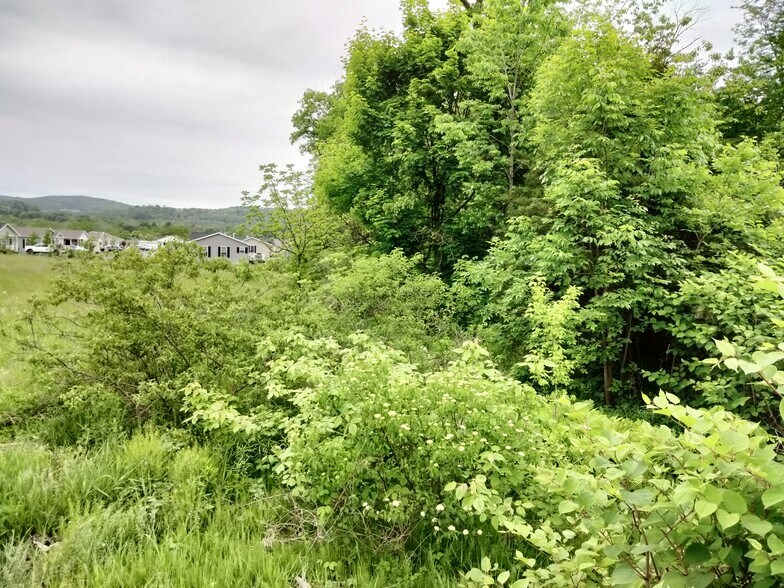 More Photos Of 0 Rt 100, Bechtelsville Land For Sale