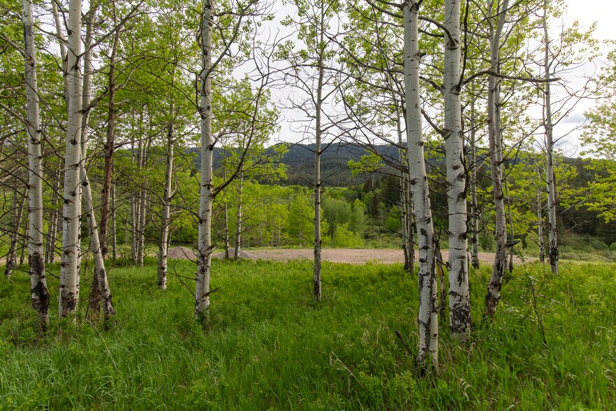 More Photos Of 3 Trail Creek Rd, Bozeman Land For Sale
