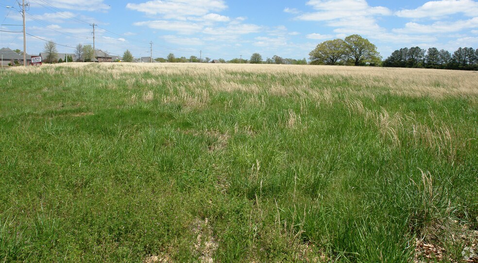 More Photos Of Market Blvd @ White Rd., Collierville Land For Sale