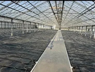More Photos Of 909 Lemoyne Rd, Northwood Industrial For Sale