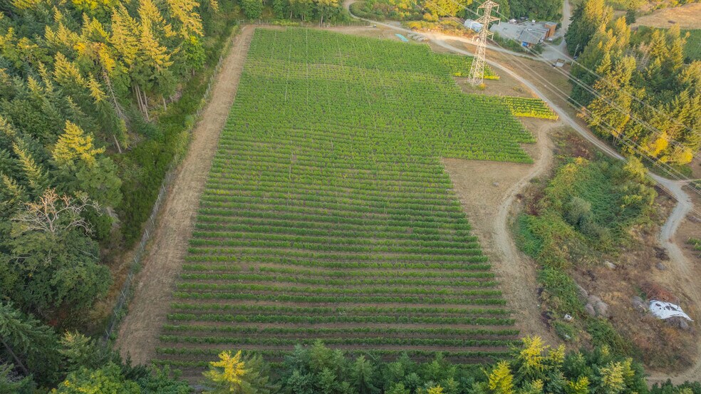 More Photos Of , Duncan Winery Vineyard For Sale