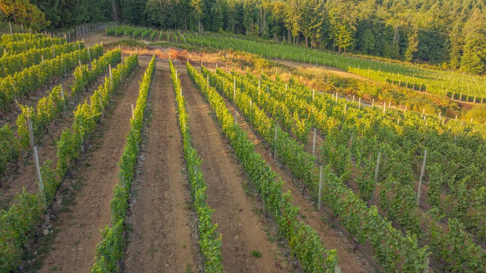 More Photos Of , Duncan Winery Vineyard For Sale