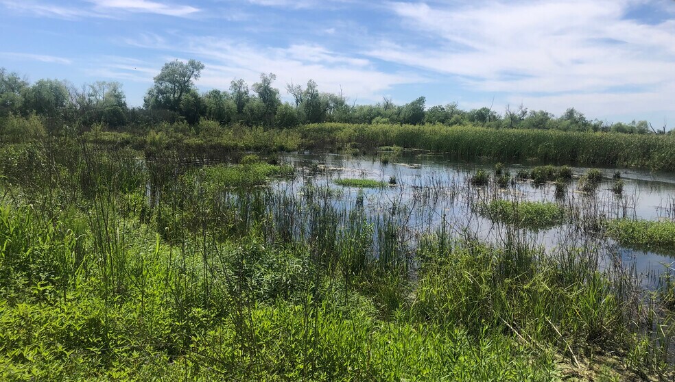 More Photos Of TBD County Road 210, Danbury Land For Sale