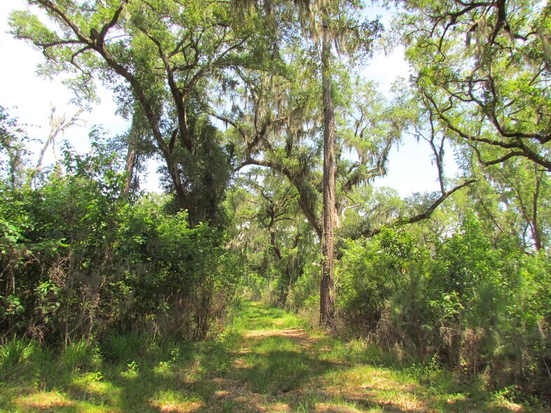 More Photos Of 214 Seabrook, Seabrook Land For Sale