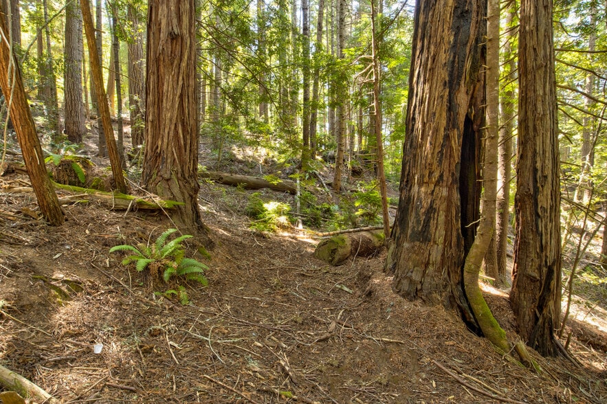 More Photos Of 33170 Frog Pond rd, Little River Land For Sale