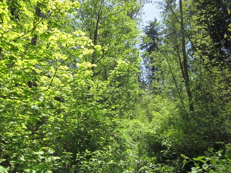 More Photos Of 20633 SE 388th St, Enumclaw Land For Sale