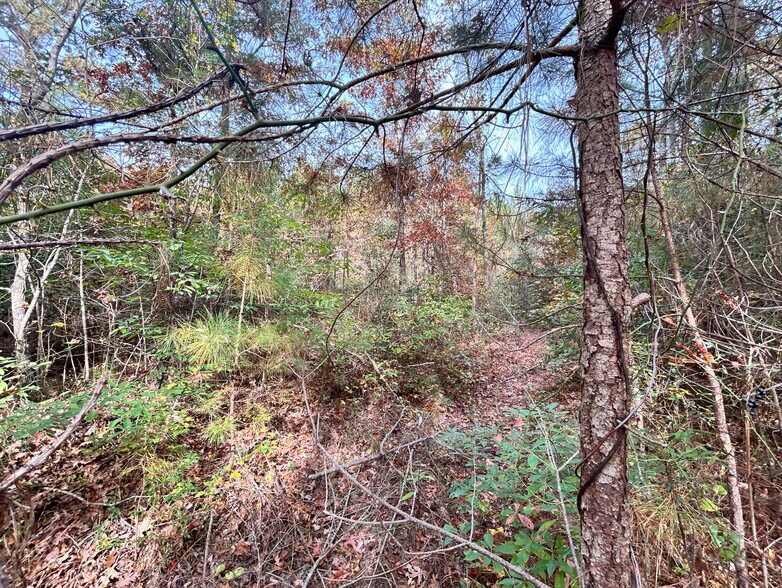 More Photos Of 2224 Governors rd, Windsor Land For Sale