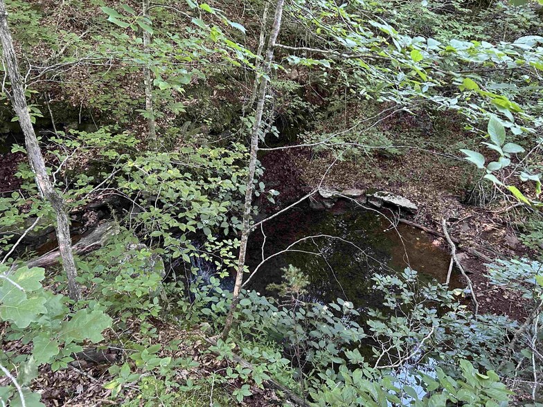 More Photos Of 2325 Six Rdg rd, Drasco Land For Sale