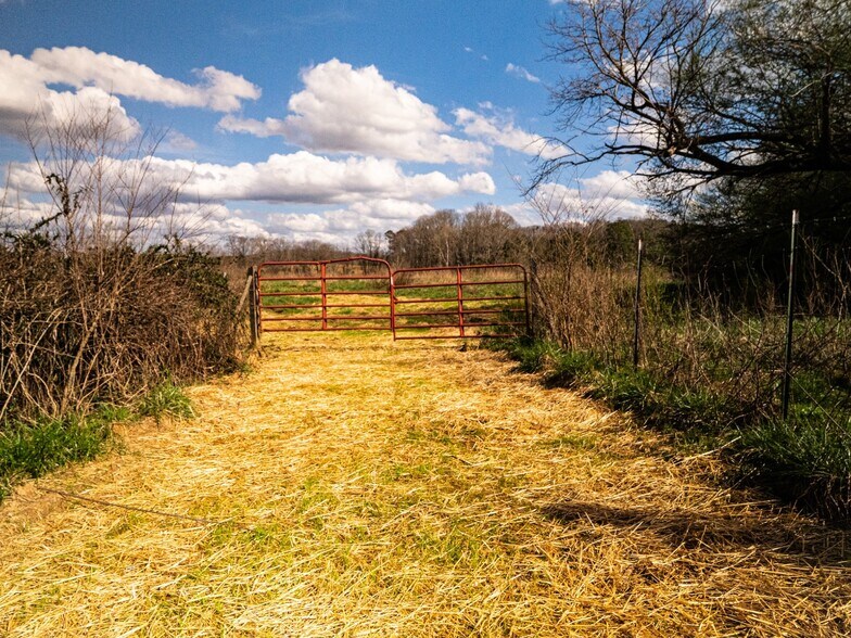 More Photos Of 01 Highway 136 Connector, Talking Rock Land For Sale